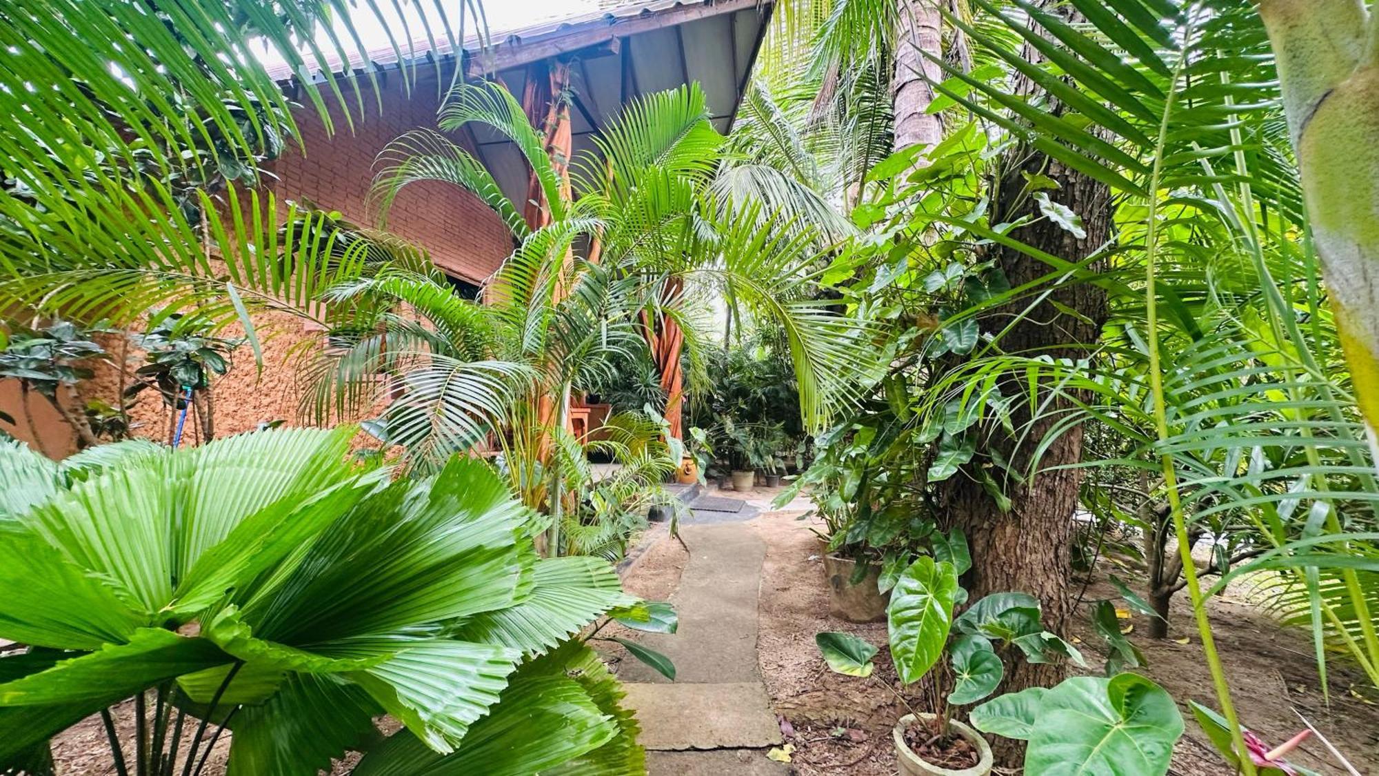 Ama Eco Lodge Sigiriya Exterior foto